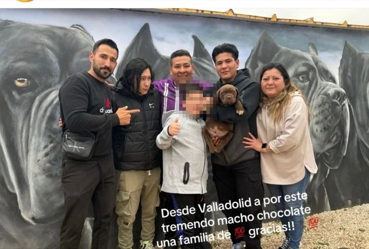 Cane Corso con su familia adoptiva