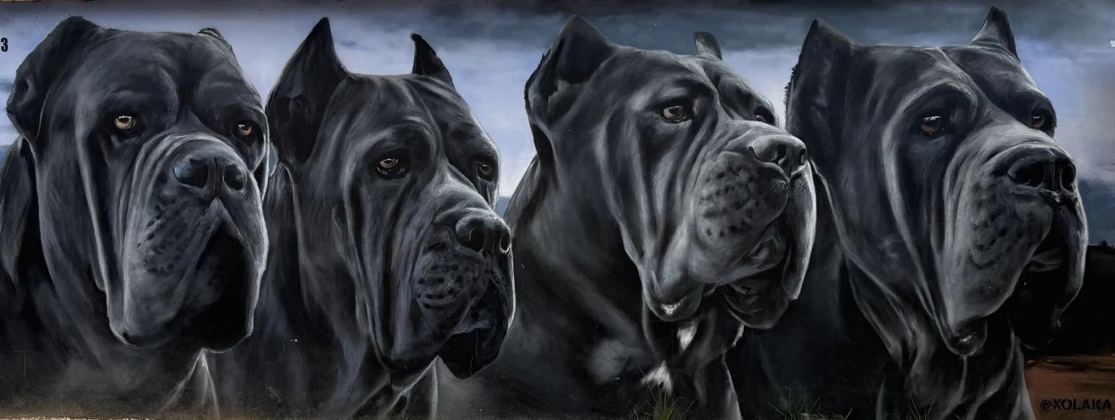 Cane Corso majestuoso en el campo